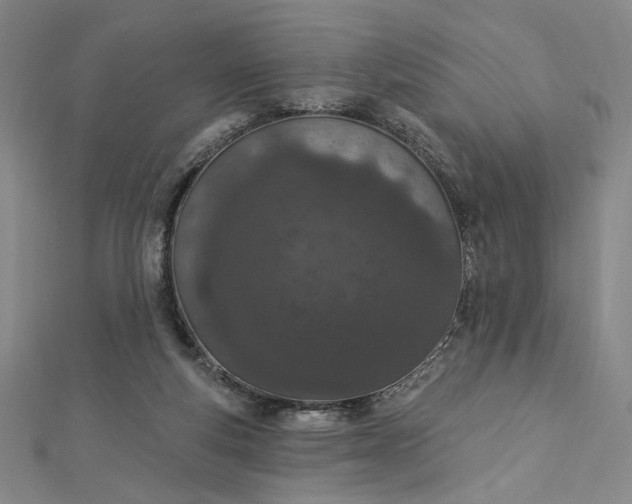 X0000112780163200909031635