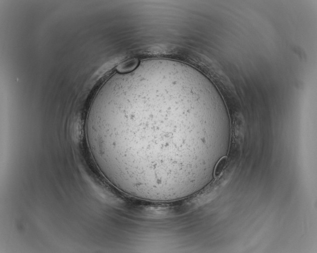 X0000112780164200909031635