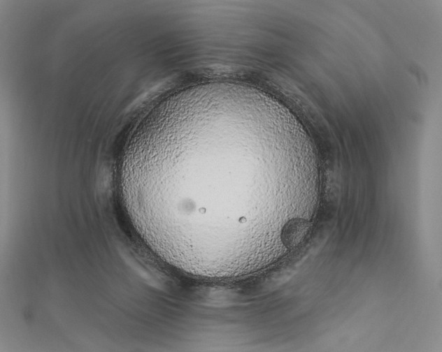 X0000112780165200909031635