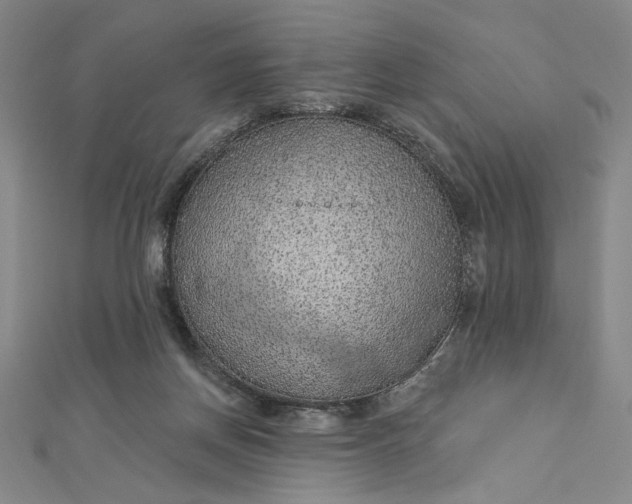 X0000112780166200909031635