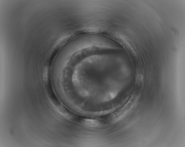 X0000112780167200909031635