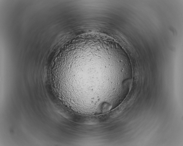 X0000112780169200909031635