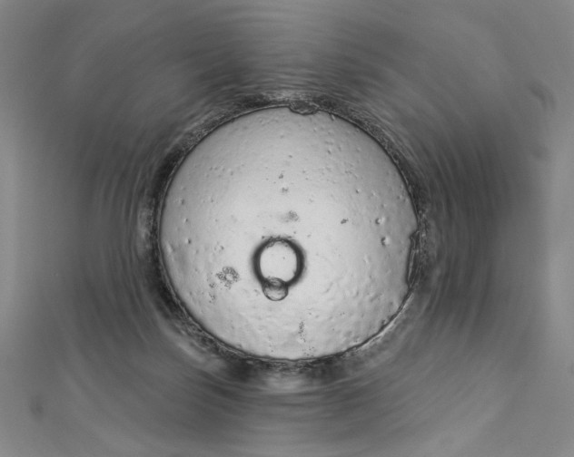 X0000112780171200909031635