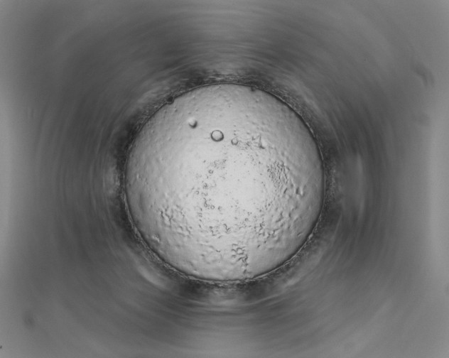 X0000112780173200909031635