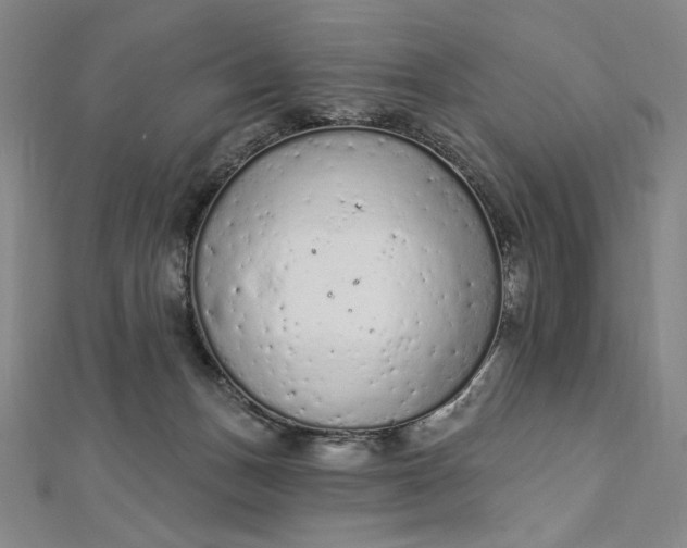 X0000112780175200909031635