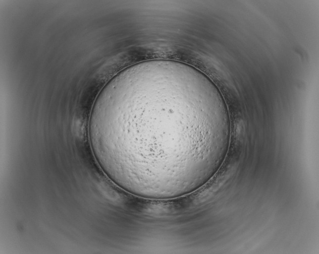 X0000112780177200909031635