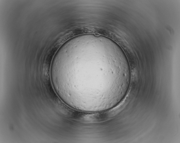 X0000112780178200909031635