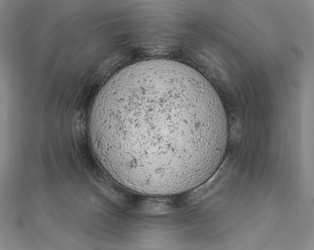 X0000112780179200909031635