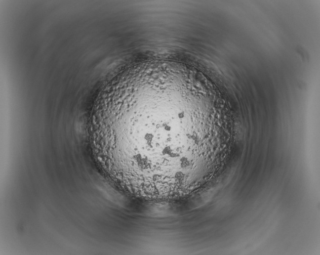 X0000112780181200909031635