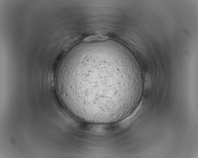 X0000112780182200909031635