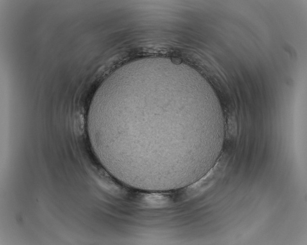 X0000112780183200909031635