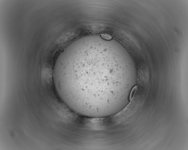 X0000112780184200909031635