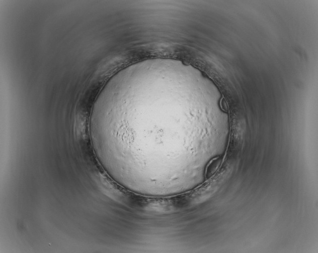 X0000112780185200909031635