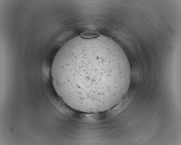 X0000112780188200909031635