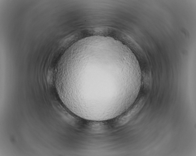 X0000112780189200909031635