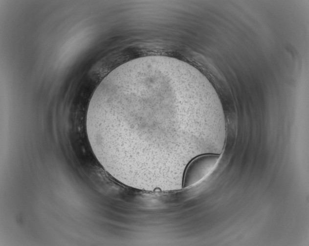 X0000112780190200909031635