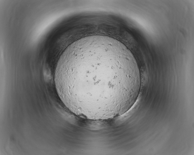 X0000112780191200909031635