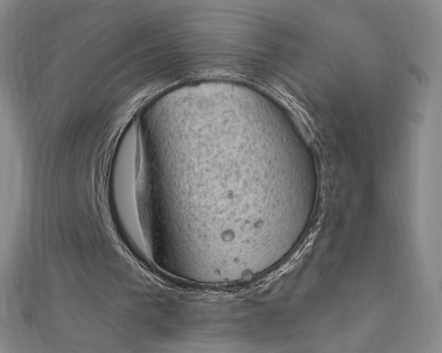 X0000112780193200909031635