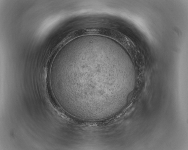 X0000112780194200909031635