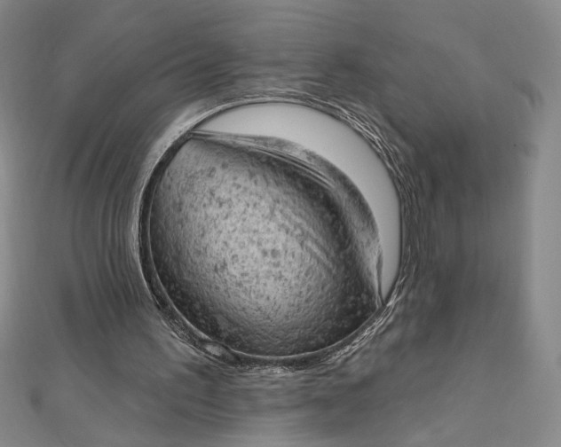 X0000112780195200909031635