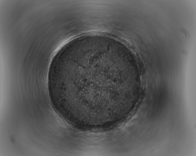 X0000112780196200909031635