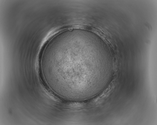 X0000112780198200909031635