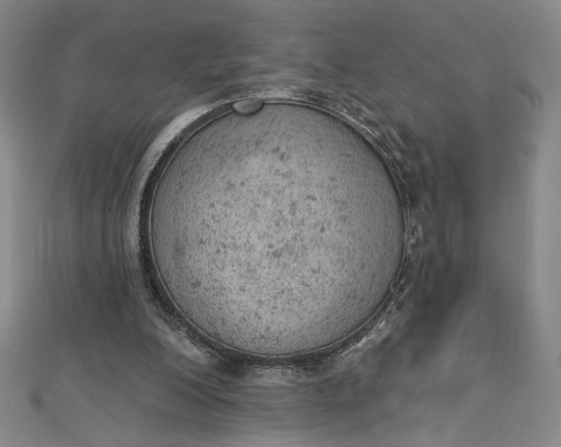 X0000112780200200909031635