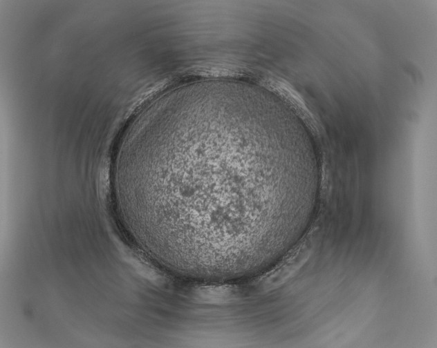 X0000112780202200909031635