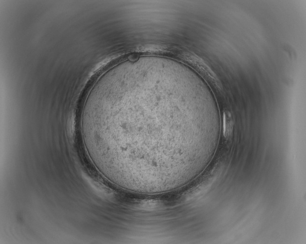 X0000112780204200909031635