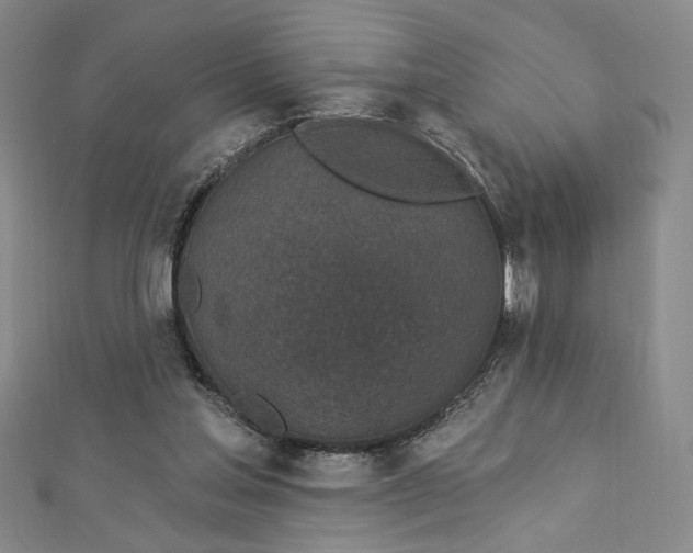 X0000112780205200909031635