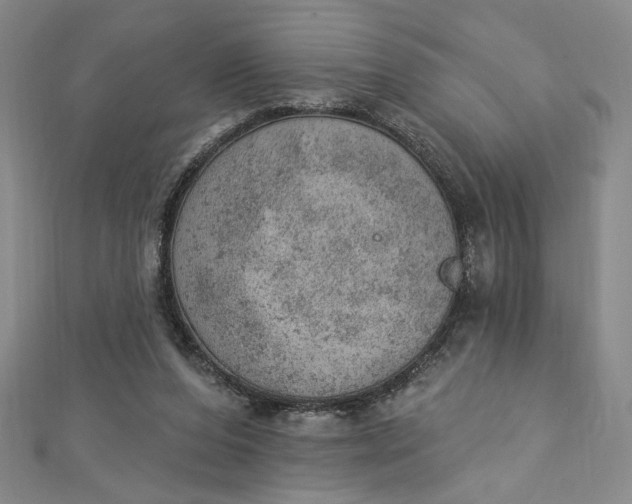 X0000112780208200909031635