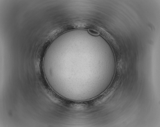 X0000112780209200909031635