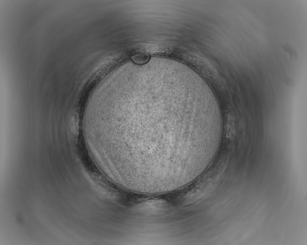 X0000112780210200909031635