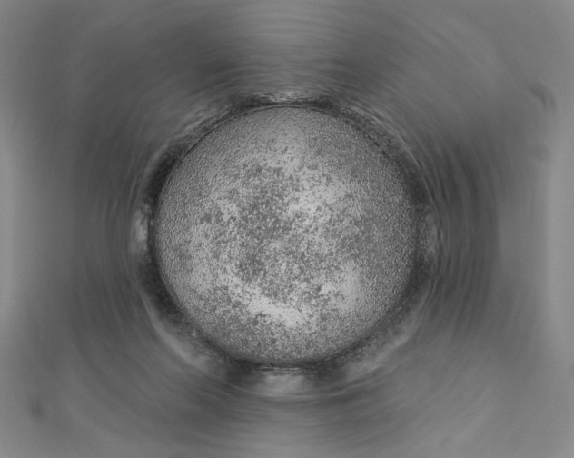 X0000112780214200909031635