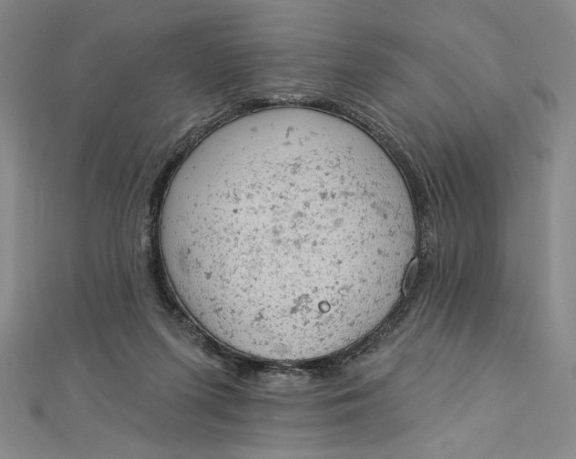 X0000112780215200909031635