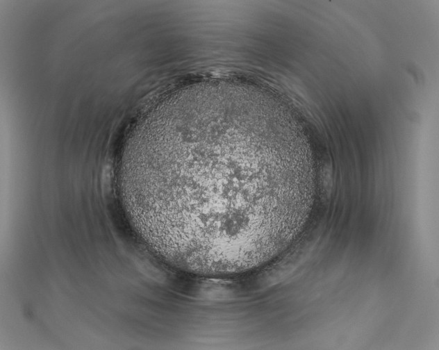 X0000112780222200909031634