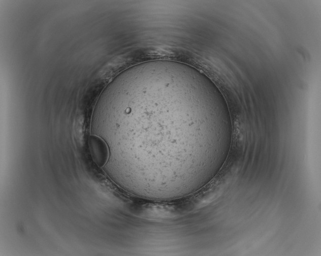 X0000112780223200909031634