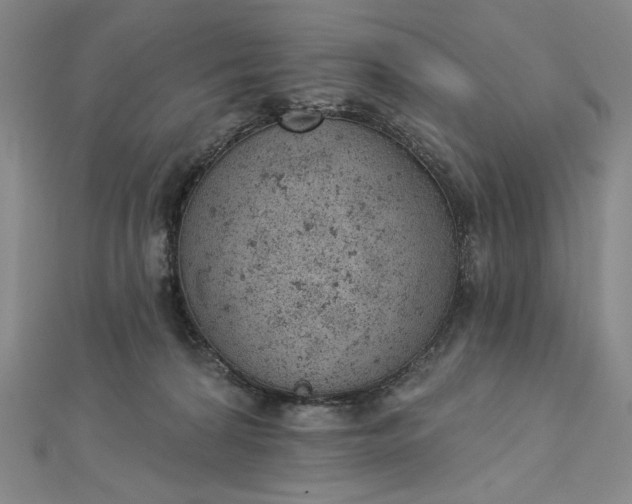 X0000112780224200909031634