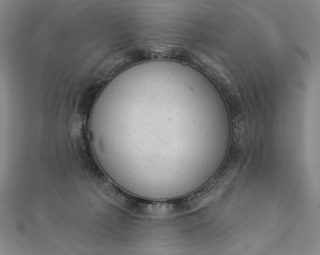 X0000112780225200909031634