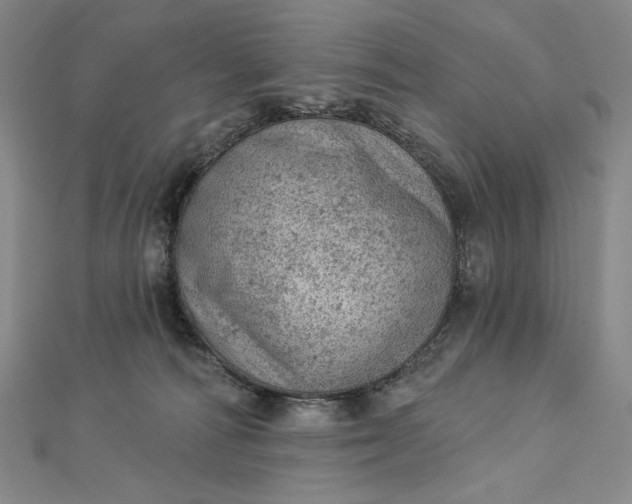 X0000112780226200909031634