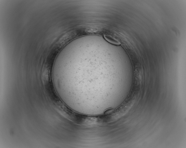 X0000112780227200909031634