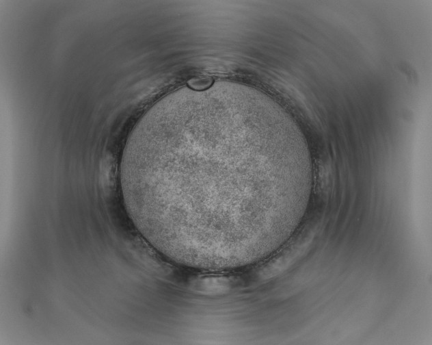 X0000112780228200909031634