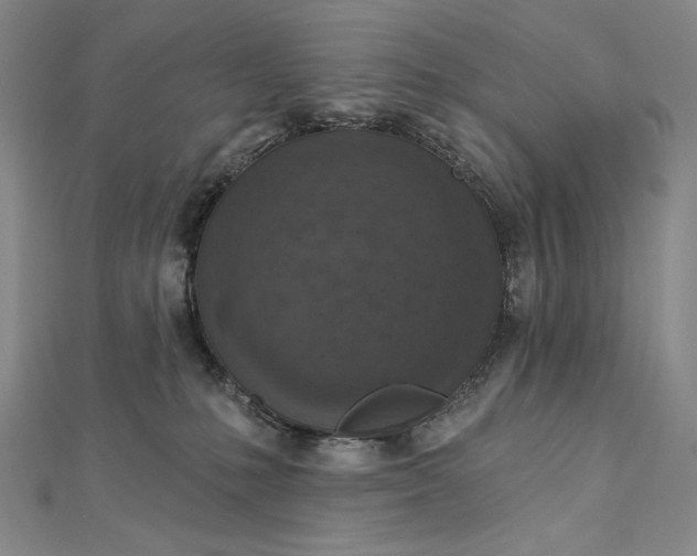 X0000112780231200909031634