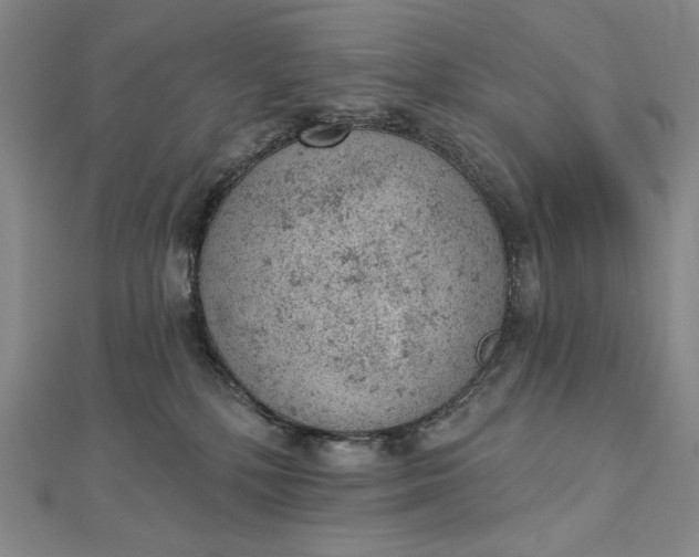 X0000112780232200909031634