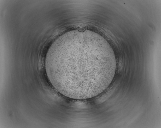 X0000112780236200909031634