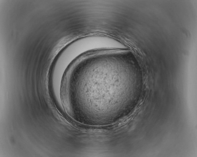 X0000112780242200909031634