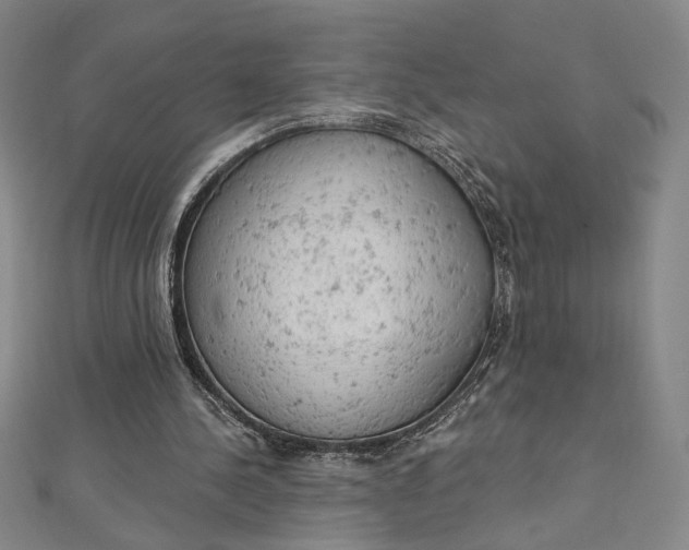 X0000112780244200909031634