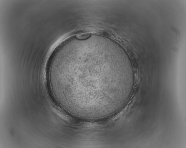 X0000112780246200909031634