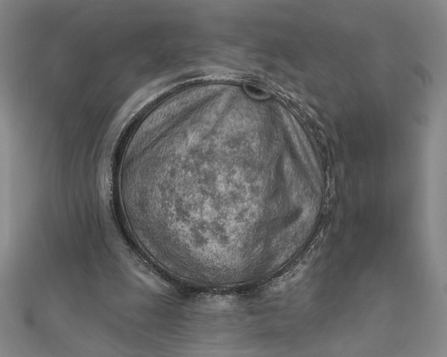 X0000112780247200909031634