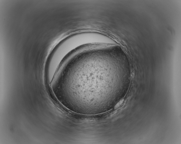 X0000112780248200909031634